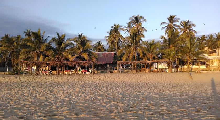 Imagen 3 de 13