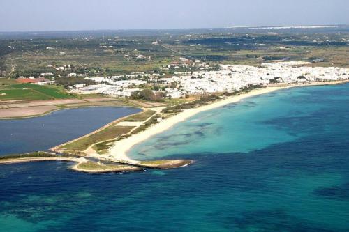 Imagen 4 de 9