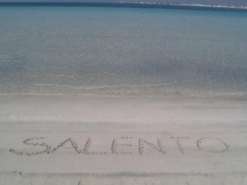 Imagen 1 de 28
