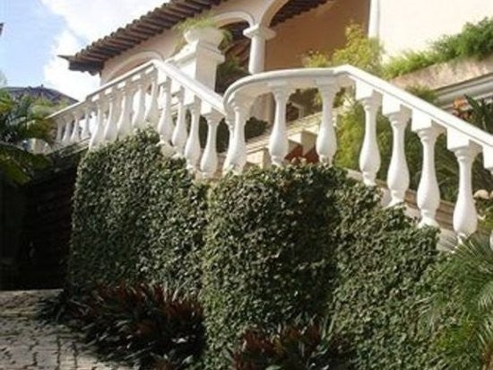 Imagen 2 de 10