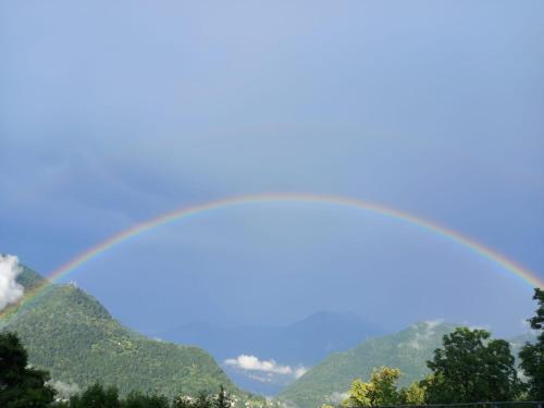 Imagen 1 de 124