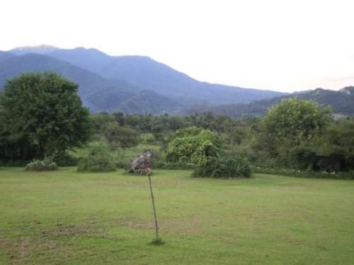 Imagen 4 de 17