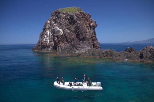 Imagen 5 de 7