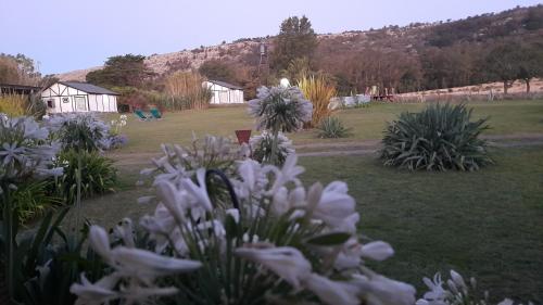 Imagen 3 de 15
