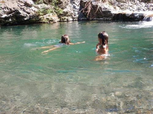 Imagen 4 de 59
