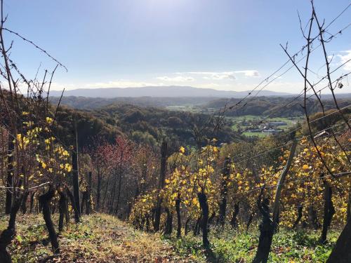 Imagen 5 de 22