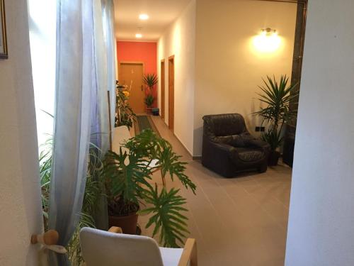 Imagen 4 de 32
