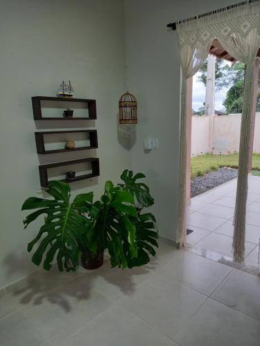 Imagen 3 de 4