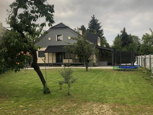 Imagen 3 de 37