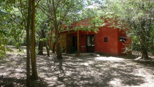 Imagen 3 de 9