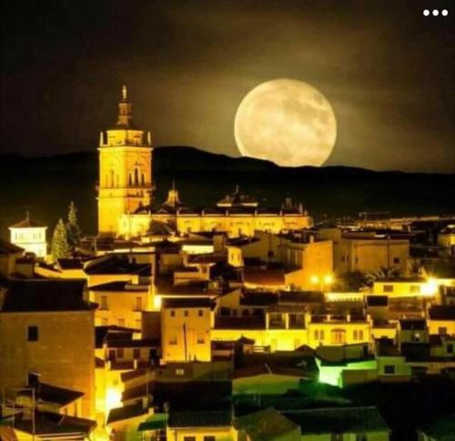 Imagen 1 de 22