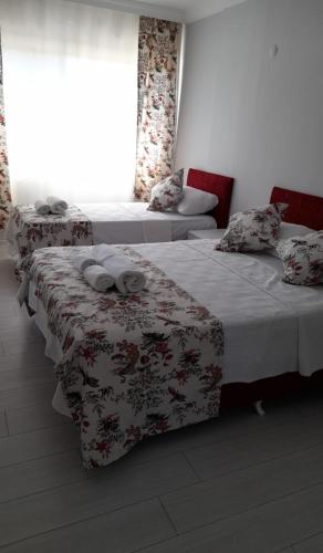 Imagen 3 de 10