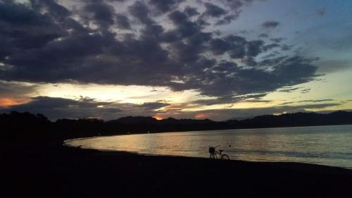 Imagen 4 de 24