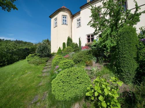 Imagen 2 de 6