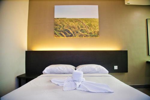 Imagen 4 de 24