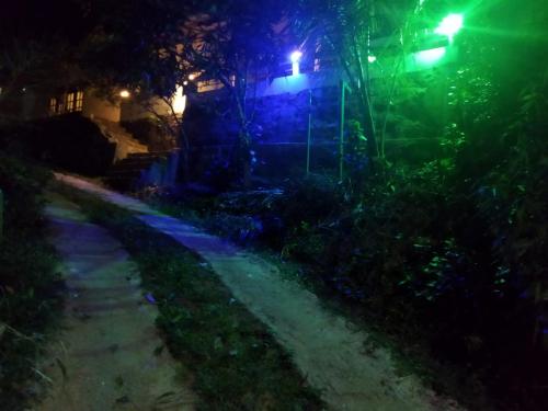 Imagen 4 de 6
