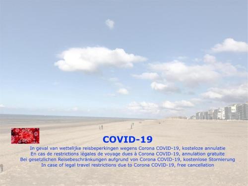 Imagen 1 de 12
