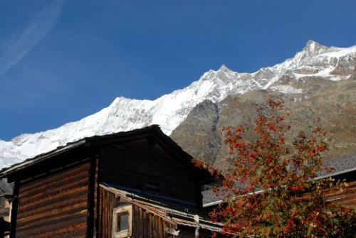 Imagen 5 de 49