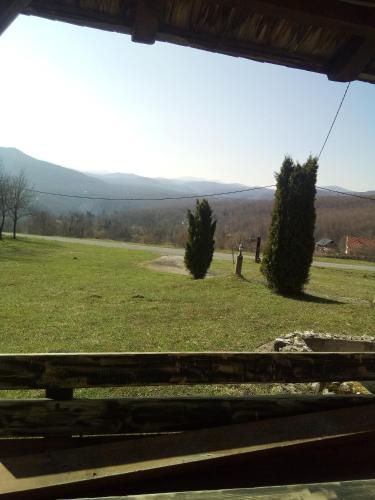 Imagen 3 de 13