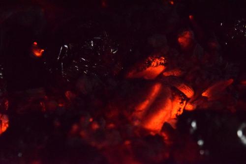Imagen 3 de 16