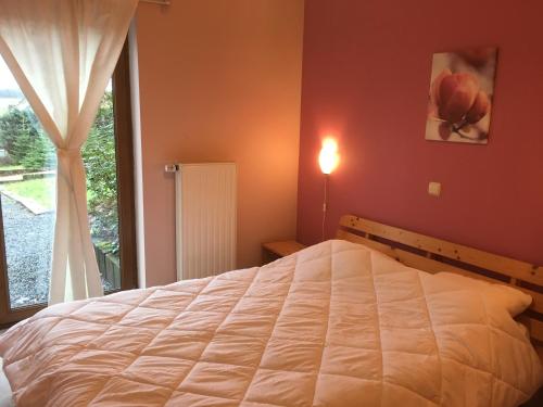 Imagen 2 de 13