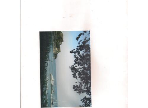 Imagen 1 de 4