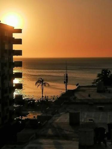 Imagen 4 de 5