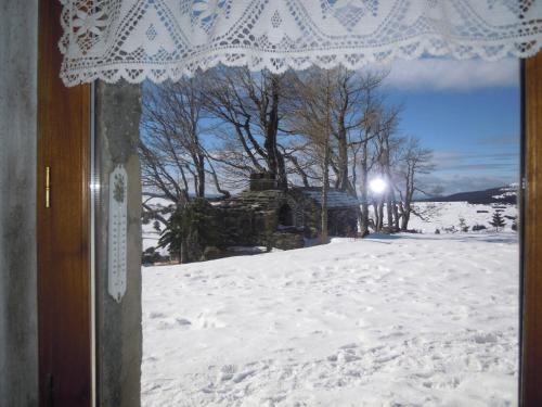 Imagen 4 de 26