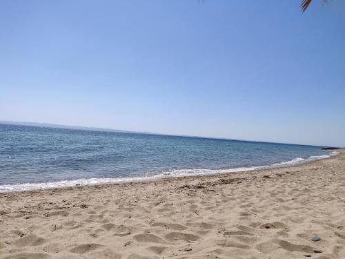 Imagen 5 de 26
