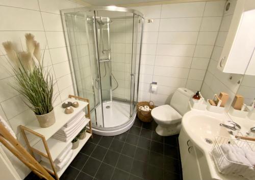 Imagen 5 de 12