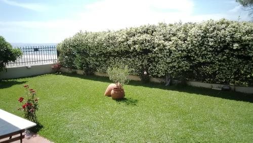 Imagen 5 de 7