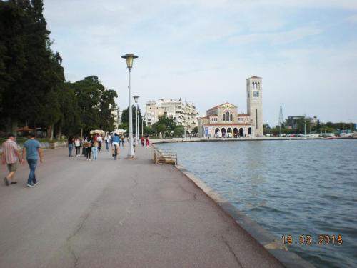 Imagen 3 de 14
