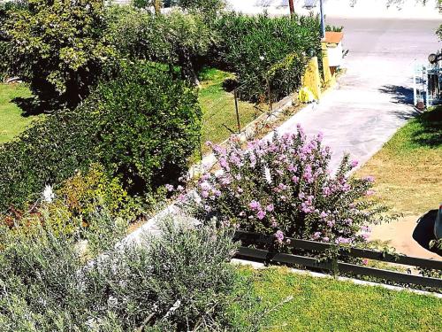 Imagen 5 de 49