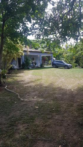 Imagen 2 de 15