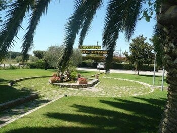 Imagen 4 de 8