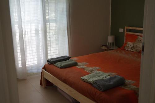 Imagen 3 de 7