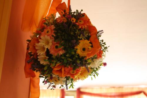 Imagen 4 de 19