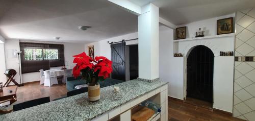 Imagen 4 de 35