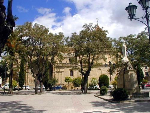 Imagen 3 de 23
