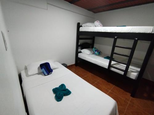 Imagen 2 de 10