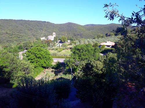 Imagen 3 de 5