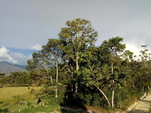 Imagen 2 de 4