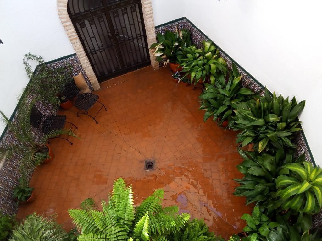 Imagen 3 de 18