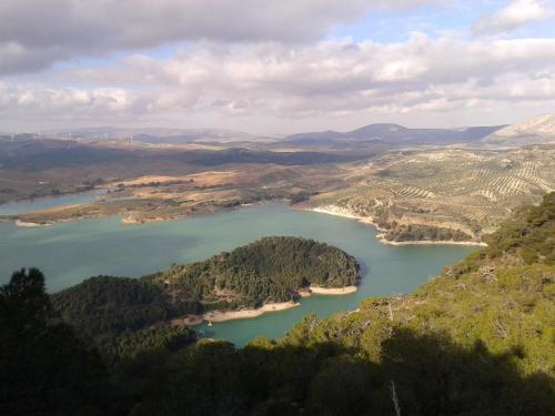 Imagen 1 de 29