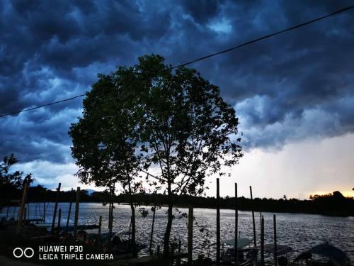 Imagen 1 de 7