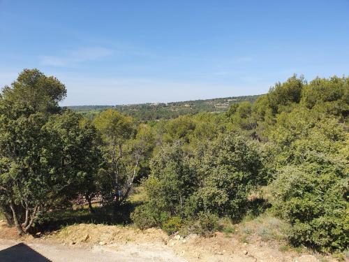 Imagen 1 de 16