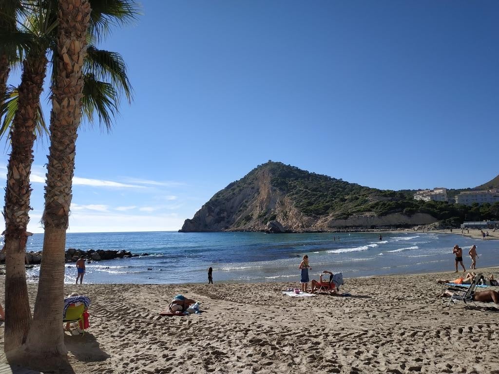 Imagen 2 de 19