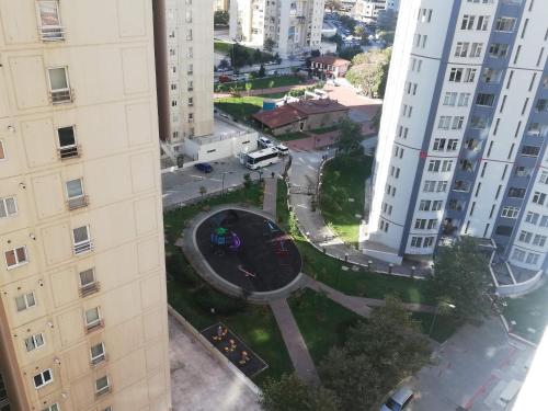 Imagen 2 de 16