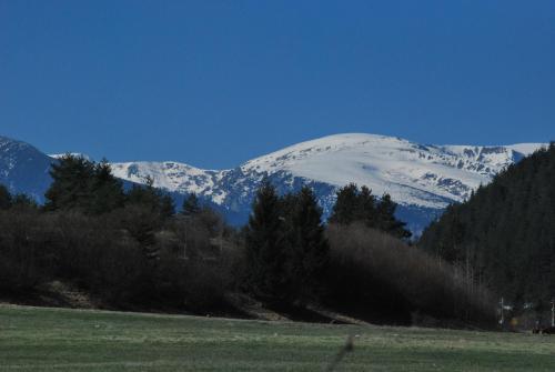 Imagen 5 de 35