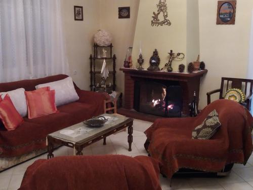 Imagen 2 de 11